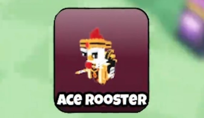 How to Get the Ace Rooster in Grow A Chicken Fighter