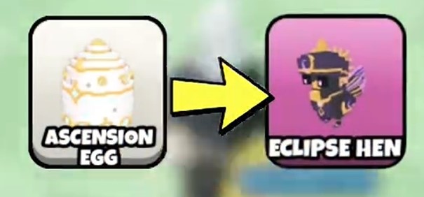 How to Get Eclipse Hen in Grow A Chicken Fighter (Ascension Eggs)