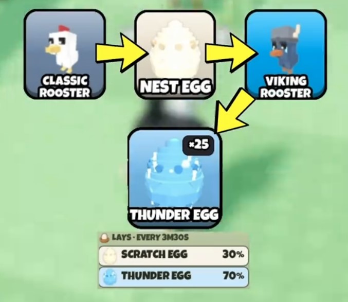 How to Get the Ace Rooster in Grow A Chicken Fighter