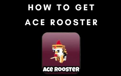 How to Get the Ace Rooster in Grow A Chicken Fighter