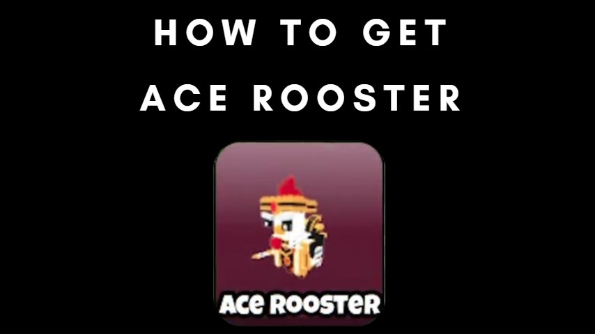 How to Get the Ace Rooster in Grow A Chicken Fighter