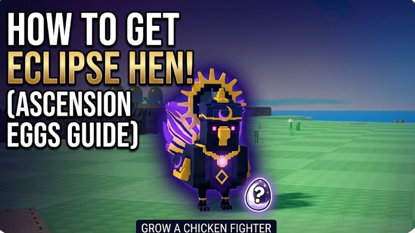 How to Get Eclipse Hen in Grow A Chicken Fighter (Ascension Eggs)