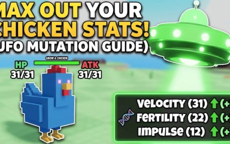 How to Max Out Chicken Stats in Grow A Chicken Fighter