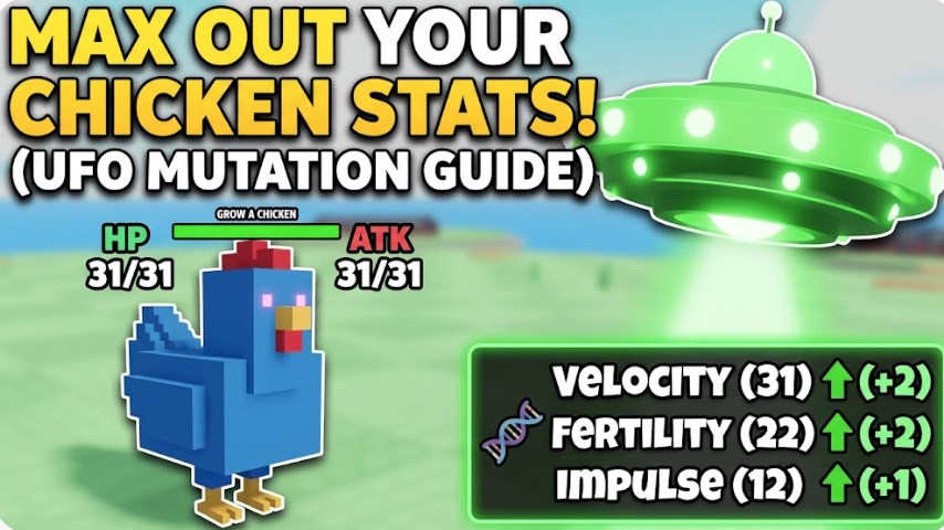 How to Max Out Chicken Stats in Grow A Chicken Fighter